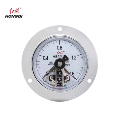 红旗 电接点轴向带边定制检测款 YX100 (压力值需备注) 块