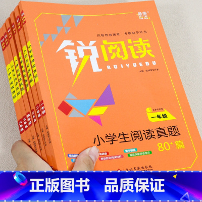 阅读理解专项训练80篇(全一册) 小学一年级 [正版]锐阅读 一年级阅读理解训练 二三四五六年级课外阅读书籍人教版语文阅