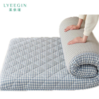 莱依瑾 LYEEGIN 床垫 100*200cm 张
