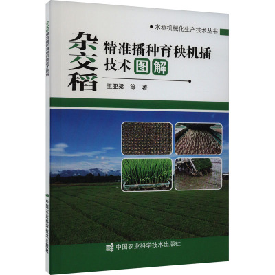 杂交稻精准播种育秧机插技术图解