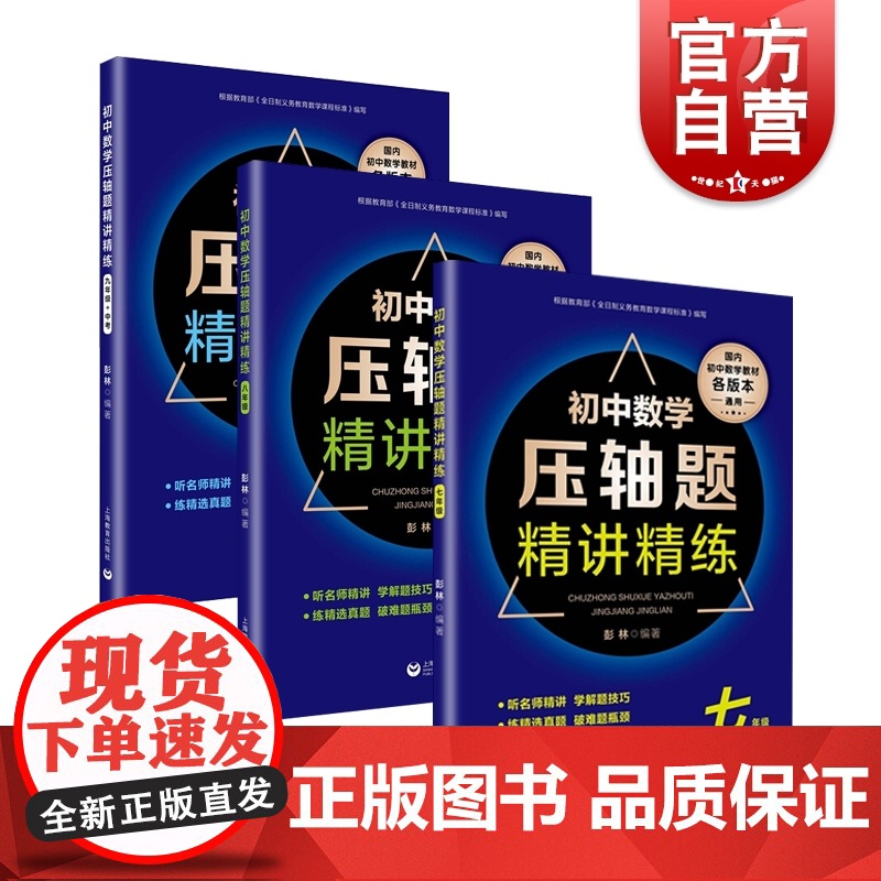 初中数学压轴题精讲精练系列套装 七年级 八年级 九年级+中考