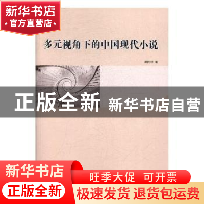 正版 多元视角下的中国现代小说 颜同林著 人民出版社 9787010186
