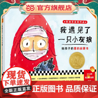 我遇见了一只小灰狼:3~6岁爱的启蒙经典(凯迪克大奖绘本):1本神奇的无字书,1001种爱的讲法,听孩子讲爱的故事!