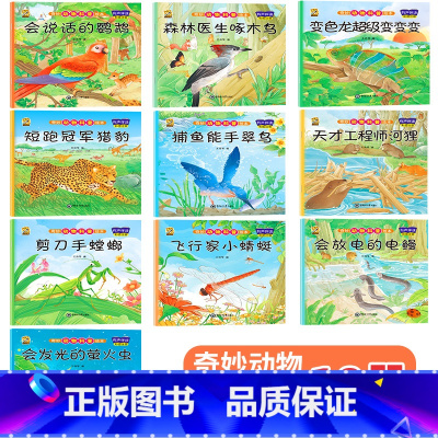 [10本240页]科普一 [正版]绘本3一4一6岁幼儿园阅读小中大班儿童故事书幼儿绘本0到3岁新一年级必读书籍1-2-6