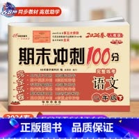人教版 语文 二年级下 [正版]2024春新版 期末冲刺100分二年级下册语文试卷人教版RJ 小学二年级下学期语文同步试