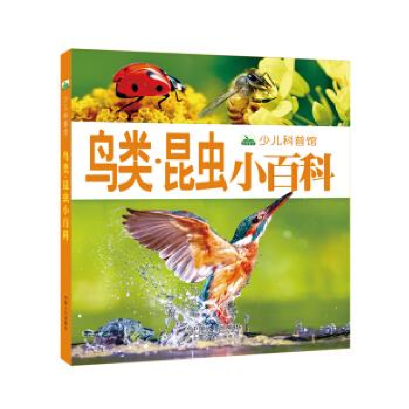 正版新书]环球国家地理百科全书(套装共10册)晨风童书97875101