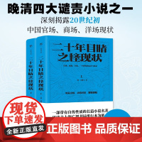 二十年目睹之怪现状 吴趼人 著 小说