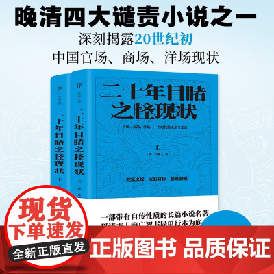 二十年目睹之怪现状 吴趼人 著 小说