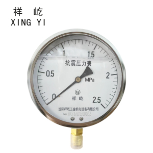 祥屹 耐震压力表 YTN150 块