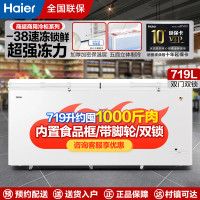 海尔商用冷柜卧式大容量全冷冻冷藏转换电子控温719升BC/BD-719GHEP