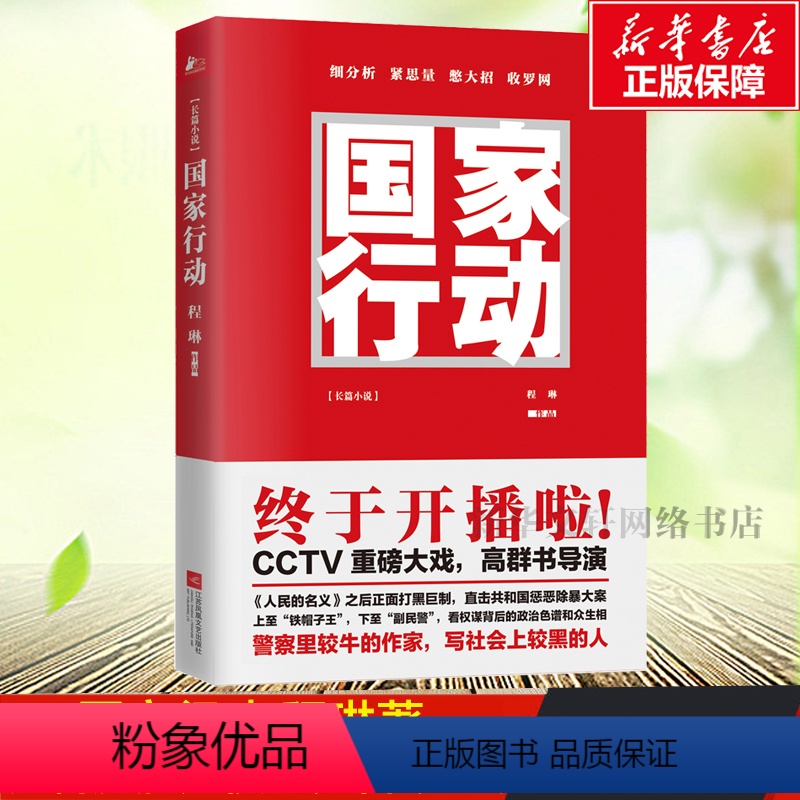 [正版]抖音同款国家行动 程琳著 张译主演同名电视剧原著小说长篇反腐刑侦 人民的名义天局同类 官场小说现当代文学书
