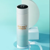 迪士尼 觅野仙踪 316不锈钢智能杯保温杯 温度显示温显杯 DSM-SJK894 绿宝石 480ml