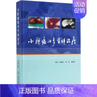 [正版]小肝癌的多学科治疗 陈敏山,徐立,郭荣平 内科医生临床治疗研究图书 医学类学习专业书籍 人民卫生出版