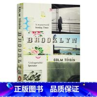 布鲁可林 [正版]灿烂千阳 英文原版小说 A Thousand Splendid Suns 英文版进口书The Kite