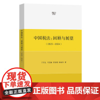 中国税法:回顾与展望(2023-2024) 王冬生 马雯丽 曾春娟 孙延玲 著 商务印书馆