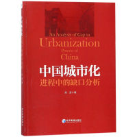 音像中国城市化进程中的缺口分析吴波 著
