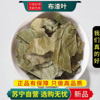 布渣叶100克干货新货正品布渣叶草正品破布叶麻布叶烂布渣薢宝叶凉茶