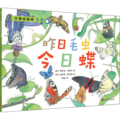 正版新书]昨日毛虫今日蝶(法)埃里克·马蒂韦 著 苏迪 译 (法)埃