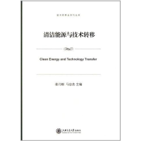 音像清洁能源与技术转移张乃根
