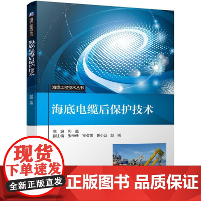 机工 海底电缆后保护技术 郭强