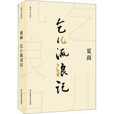 乞儿流浪记