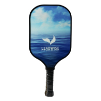 叶博士 复合S2初学者磨砂型匹克球球拍 LWPPA24A (计价单位:只)