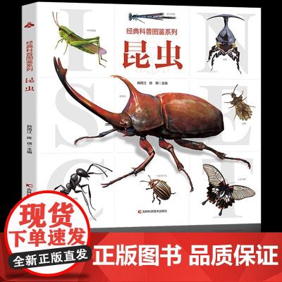 [大开本]昆虫百科全书 经典科普图鉴系列 3-5-6岁幼儿童小中大班昆虫大百科书籍小学生一二三四年级科普大百科绘本儿童版