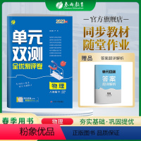 物理 八年级/初中二年级 [正版]2023年春单元双测物理八年级下册沪科版初中二年级同步测试卷HK版期中期末专项提优达标