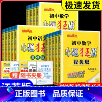 小题狂做 提优版[英语]译林版 八年级上 [正版]2024秋恩波教育初中小题狂做七八九年级上下册数学物理化学英语文提优