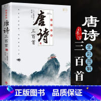 [全3册]唐诗+宋词+元曲 [正版]全套3册 唐诗三百首 宋词三百首元曲三百首唐诗宋词元曲全彩