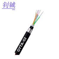 钊铖 光缆GYTA53-48B1.3光纤48芯/米