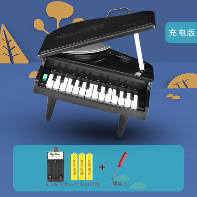 儿童炎迷你钢琴可弹奏婴儿电子琴玩具音乐琴键女孩婴幼儿小孩初学仿真音乐玩具小钢琴充电版-