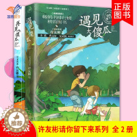 [醉染正版]许友彬请你留下来系列2册遇见大傻瓜 再见大傻瓜 少年儿童文学小学生一二年级课外文学小说故事图书8-9-10岁