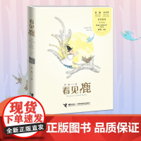 看见鹿 7-10岁 木也 著 儿童文学