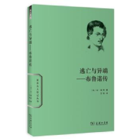 音像逃亡与异端:布鲁诺传[法]让·昊西