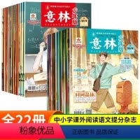 少年版杂志[1-11月全22册] [正版]意林少年版15周年杂志年刊小学生版18周年纪念书abcd初中版初中生有用作文素