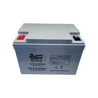 BAACE恒力胶体蓄电池UNXJ12V65Ah 块