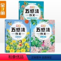 情景五感作文3册 小学通用 [正版]五感法写作文三到六年级全套3册素材积累 写作技巧强化训练书籍 范文精讲 四五年级小学