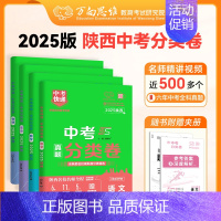 语数英物(四本套装) 陕西省 [正版]2025新版初中中考分类卷语文数学英语物理化学考前冲刺全国通用学习专项训练提升七八
