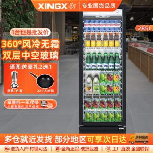 星星(XINGX)285升风冷无霜立式展示柜冰柜 饮料冷藏柜商用保鲜柜陈列柜冷柜 LSC-310WYPE