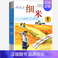 细米 [正版]蜻蜓眼全套曹文轩纯美小说系列初中小学生课外阅读书籍三四五六年级经典书目江苏凤凰少年儿童出版社安徒生儿童文学