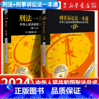刑诉(第18版全新)+邢法(17版) [正版]第18版2册刑法一本通+刑事诉讼法一本通第中华人民共和国刑法总成法律法规普