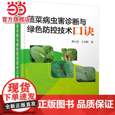 蔬菜病虫害诊断与绿色防控技术口诀 柴小佳 化学工业出版社 正版书籍