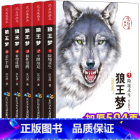 [5本]沈石溪狼王梦画本 [正版]全套4册 小学生侦探推理书 三四五六年级课外阅读书籍课外书必读的儿童读物故事书适合8—