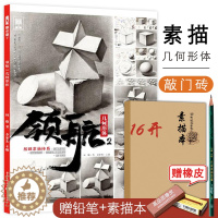 [醉染正版]领航2几何形体2021年敲门砖李家友柯略基础知识单体石膏五官组合静物多角度训练分步骤解析照片对画临摹范本美院