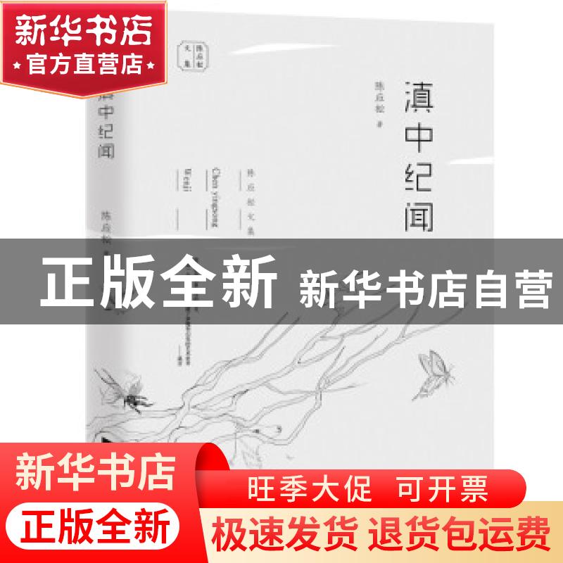 正版 滇中纪闻 陈应松 江苏凤凰文艺出版社 9787559444349 书籍