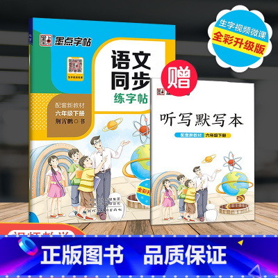 [正版]2023新版 墨点字帖人教版RJ六年级下册语文同步练字帖小学生6年级字帖同步铅笔字帖正楷入门基础训练初学者钢笔硬
