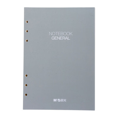 晨光 M&G 活页替芯 APY9JT74 100页25k 本