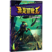音像沉船的秘密马永佳 著