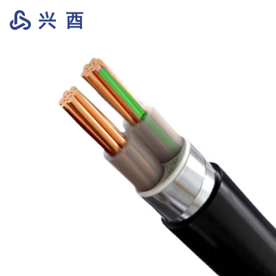 兴酉 铠装电力电缆线铜芯电缆 YJV22-2*4 米